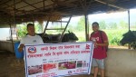 हेटौँडामा ‘लम्पी स्किन’ रोगको सङ्क्रमण