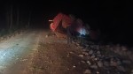 हेटौंडामा  सवारी दुर्घटना हुँदा चालकको मृत्यु