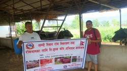 हेटौँडामा ‘लम्पी स्किन’ रोगको सङ्क्रमण
