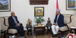 भारतीय राजदूतले परराष्ट्रमन्त्रीलाई भेटेर दिए दिल्लीको सन्देश