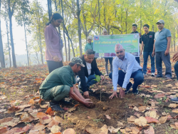 हेटौँडामा अन्जीर वर्गका वनस्पतिको बगैँचा स्थापना
