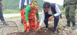 राप्ति तटमा रोपियो फलफुलका विरुवा 