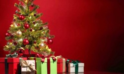 आज क्रिसमस : क्रिश्चियन धर्मावलम्बीले धुमधामका साथ मनाउँदै