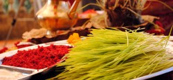 आश्विन शुक्ल दशमीः हर्षोल्लासका साथ विजया दशमी मनाइँदै