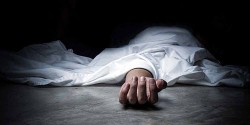मकवानपुरमा रुखले च्यापिएर मृत्यु