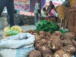 राक्सिराङ गाउँबासीको आयआर्जन वृद्धि गर्न पाक्षिक हाट बजार