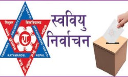 स्ववियु निर्वाचन : मकवानपुरमा अखिल-नेविसंघ गठबन्धनकै पल्ला भारी 