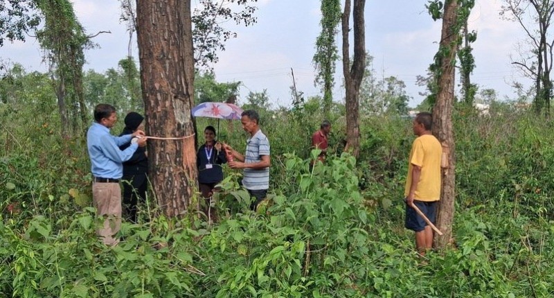 बागमतीको प्रशासनिक संरचना निर्माण: निर्माणस्थलमा रुख छपान सुरु