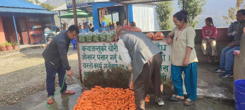 गाजर बेचेर थापा दम्पतीको मासिक तीन लाख आम्दानी